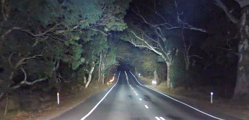 Lightforce Venom Professional Edition LED Driving Light