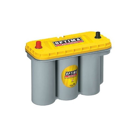 Optima Yellow Top D31A